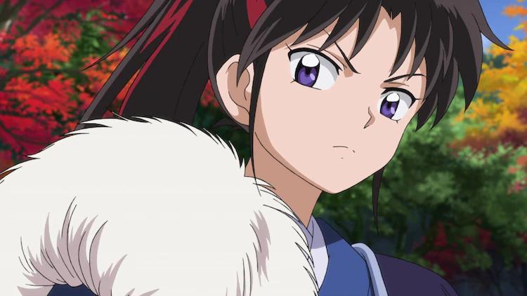 最新夜叉姬深度解析,背景、重要事件与地位探讨