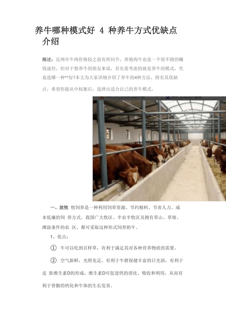 最新养牛模式揭秘,小巷里的神秘牛事探索