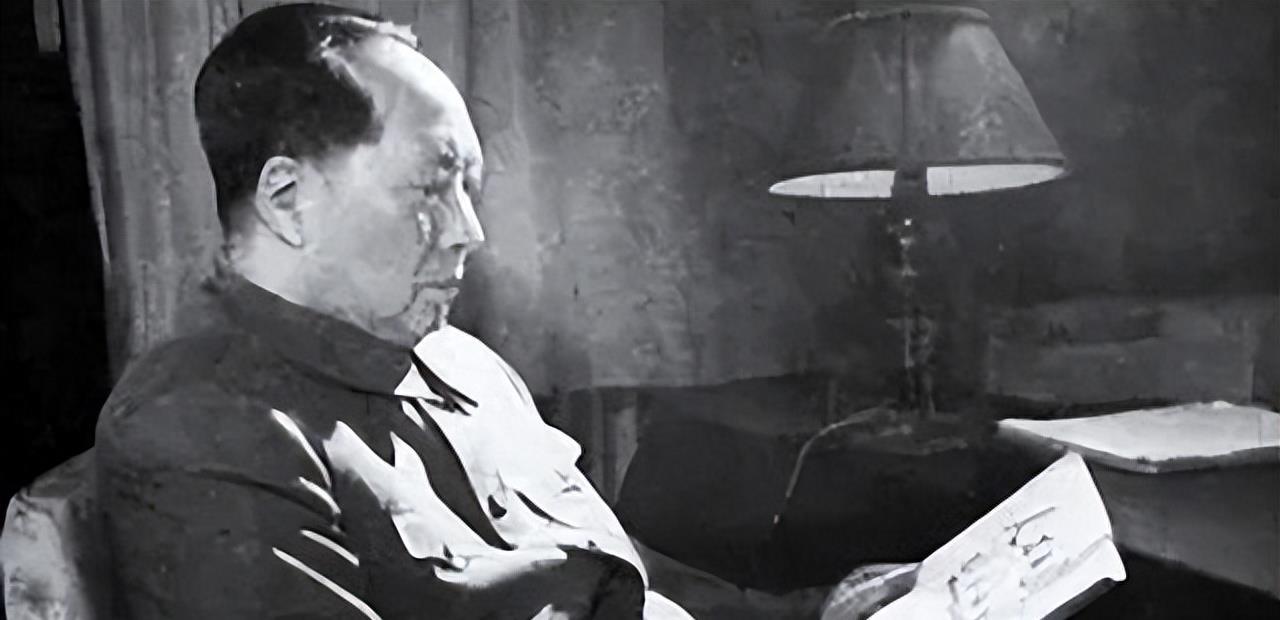 中央最新动态下的日常趣事分享