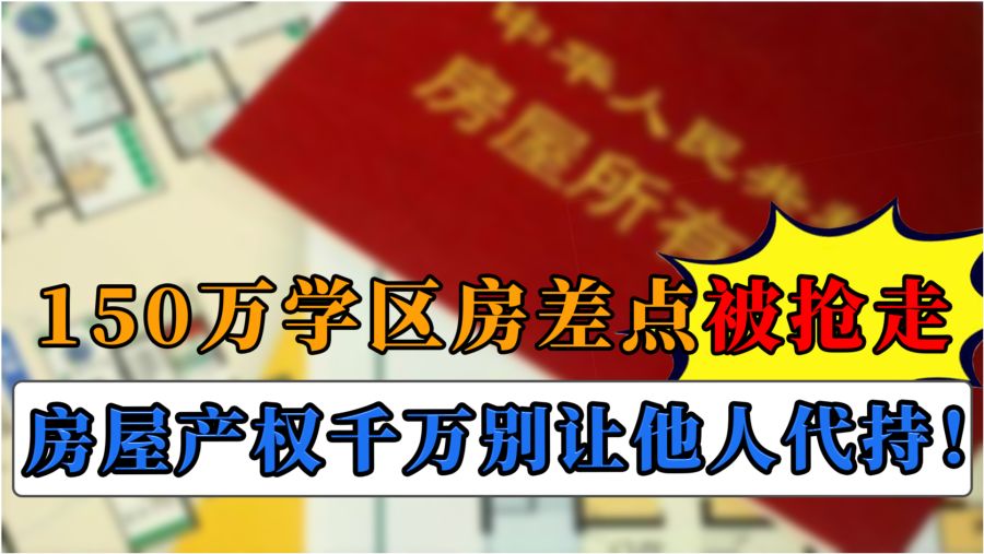 温馨日常故事,最新火热消息揭秘时刻