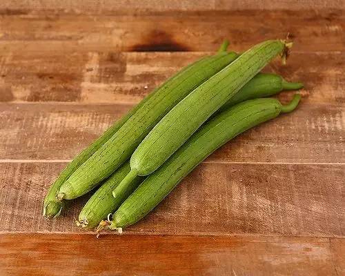 丝瓜最新应用指南,详细步骤带你体验丝瓜最新AP