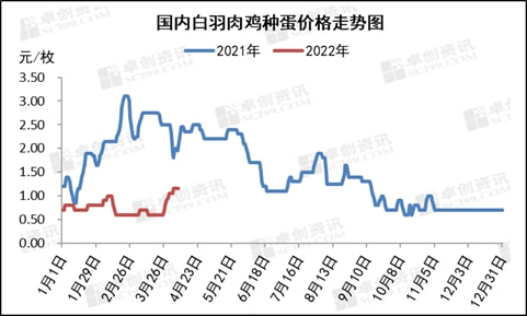 种蛋价格最新动态及论述
