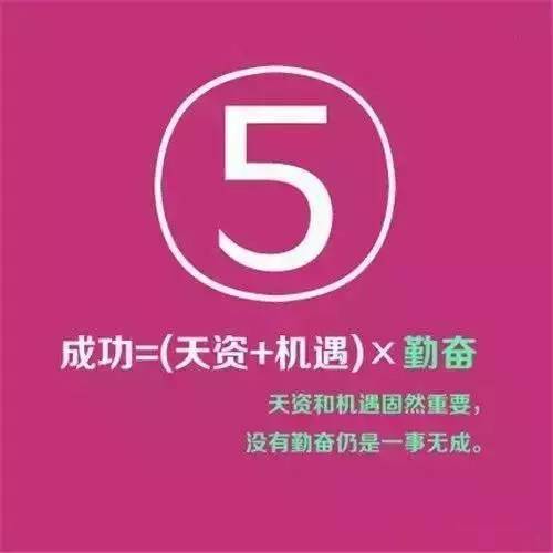 小巷中的最新隐藏瑰宝推荐