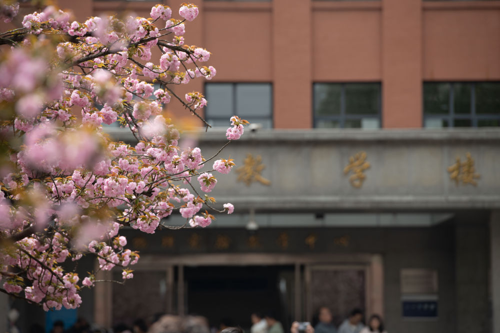 最新花校园日常故事揭秘，校园生活的精彩瞬间