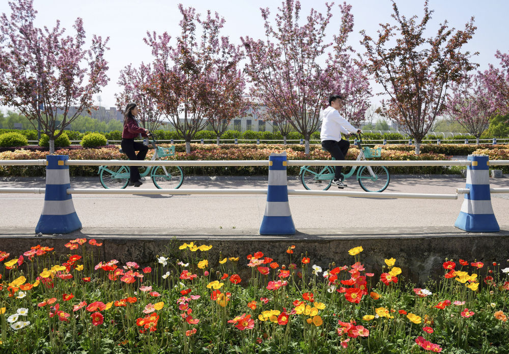 最新花校园日常故事揭秘,校园生活的精彩瞬间