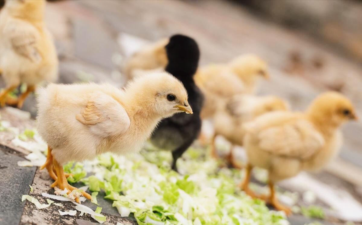 工程机械应急救援车 第54页