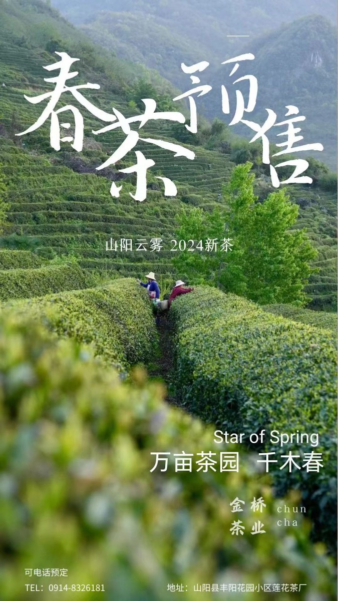 最新茶园,友情的芬芳与家的温馨交织