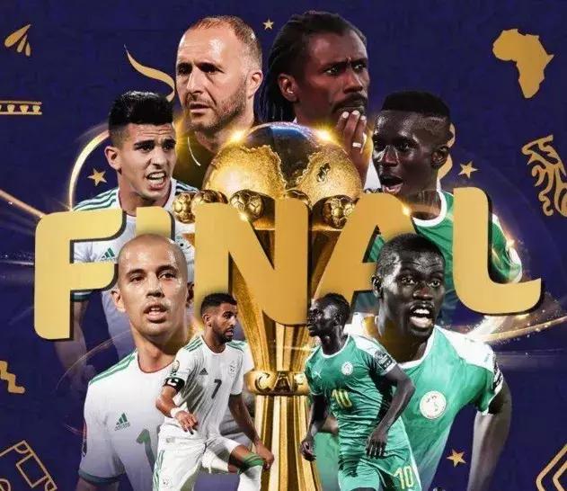 阿尔及利亚最新简报,自然之旅探寻内心平和之地