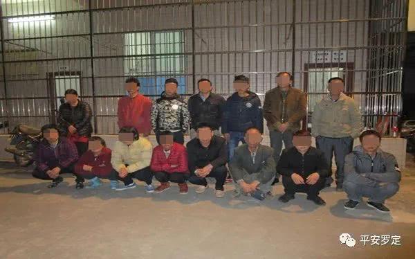 罗定之旅,自然美景化解纷扰,探寻内心平和之地