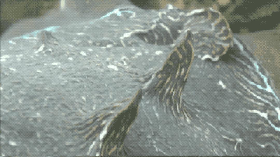 最新色盲研究,开启色彩之窗,踏上自信与成就感的探索之旅