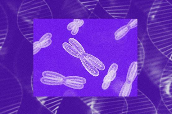 最新色盲研究,开启色彩之窗,踏上自信与成就感的探索之旅