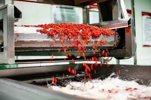 枸杞最新动态，踏遍美景，探寻内心宁静绿洲的奥秘