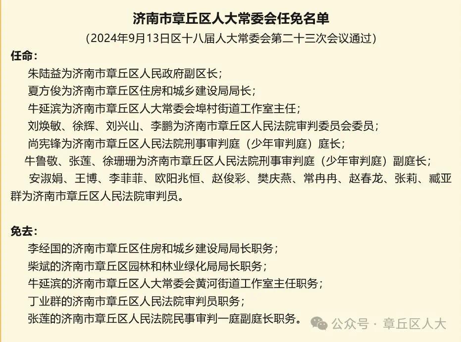 山东任免最新消息，多维度视角下的深度解析