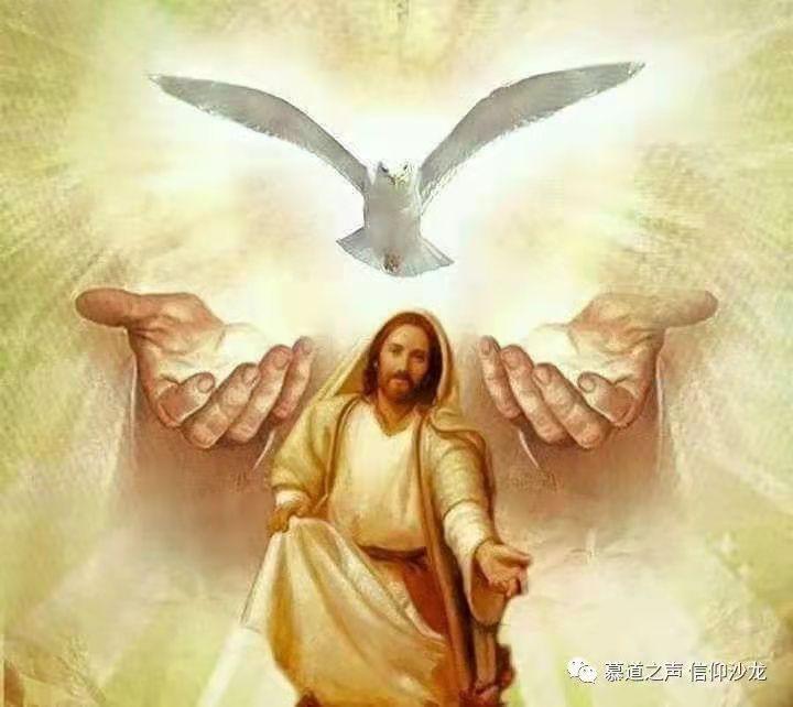 基督最新见证,步步见证信仰之路的历程