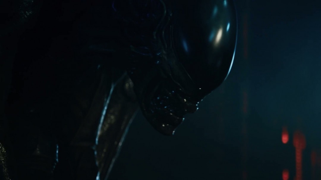 异形最新动态播报