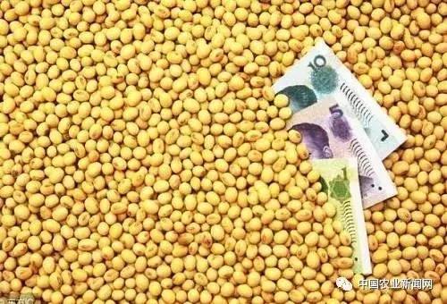 油菜消费最新趋势,高科技油菜产品引领生活新风尚