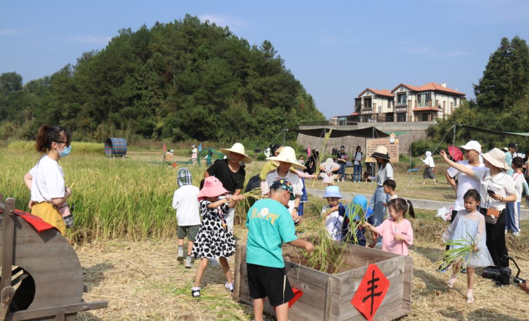 油菜消费最新趋势,高科技油菜产品引领生活新风尚