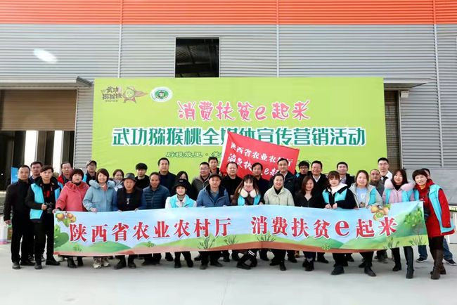 陕西扶贫最新动态概览