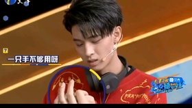 老秦最新探险之旅,拥抱自然,探寻内心宁静之道