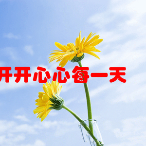 美最新动态,小巷深处的隐藏瑰宝探索