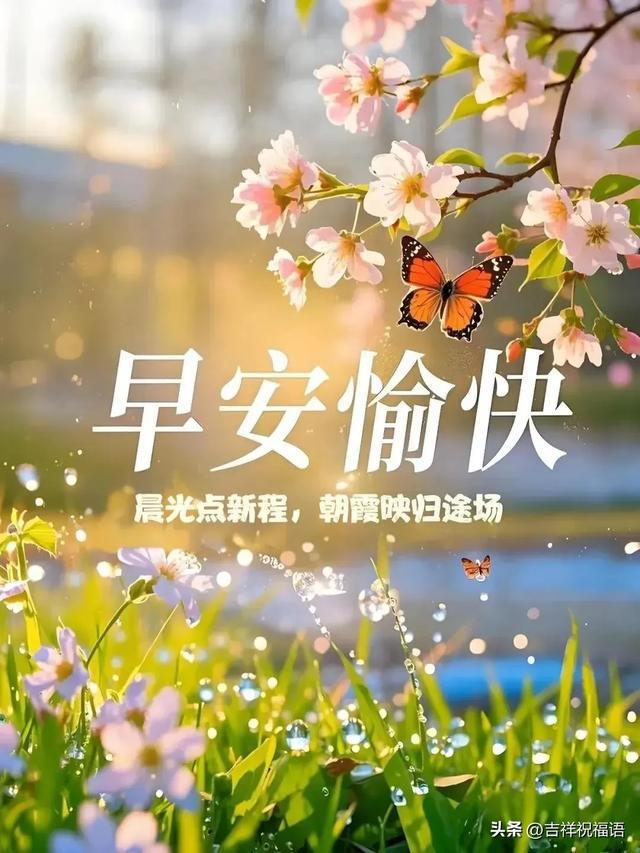 最新早安歌,晨间的温馨旋律与奇妙故事启动新一天的美好旅程