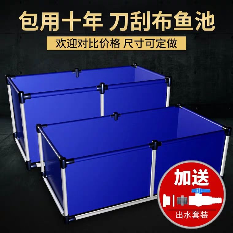 最新养鱼箱，家的温馨与友情的涟漪体验