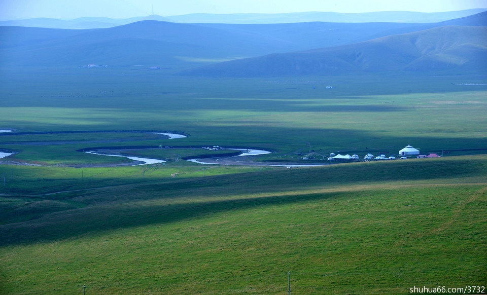 草原情的最新动态