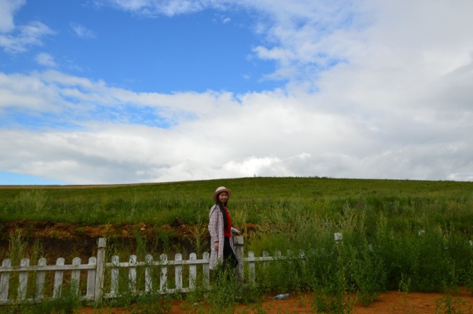 草原情的最新动态
