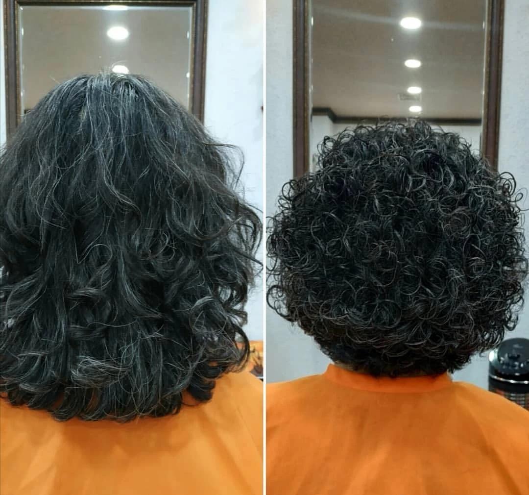 最新40卷学习指南,掌握新技能的步骤与方法