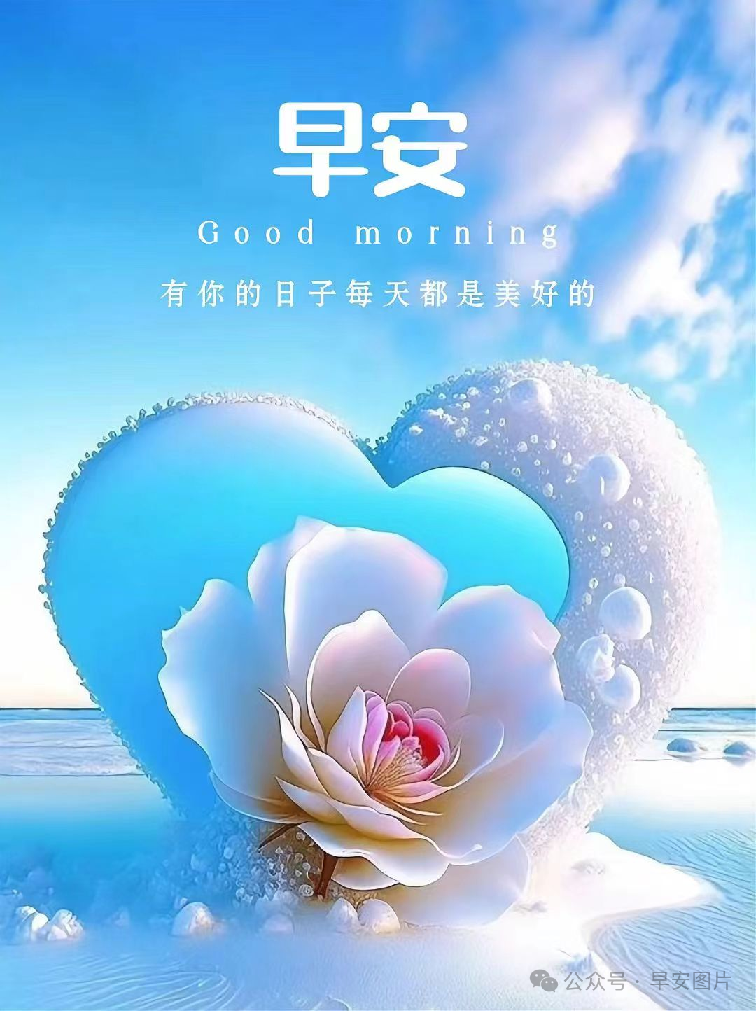 最新漂亮的自然之旅,探寻内心宁静与平和的旅程