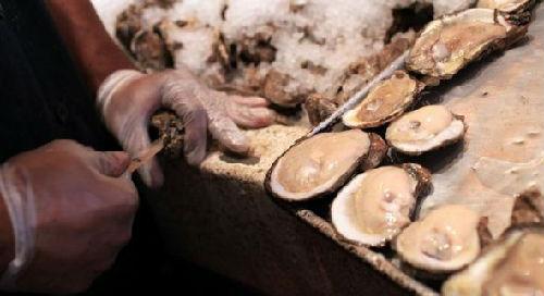 丹麦最新灾情中的温暖日常观察