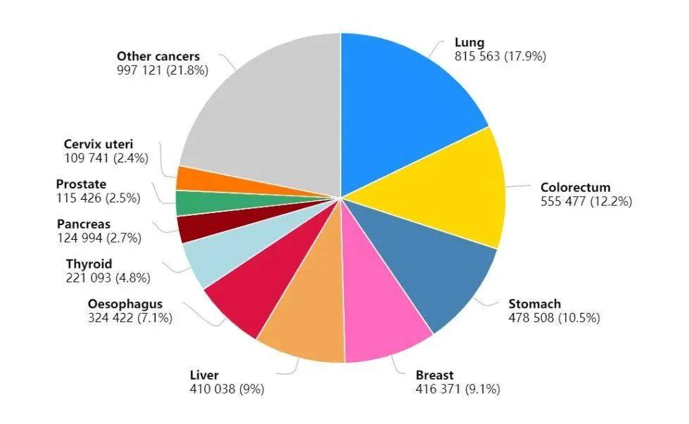 最新数据疫情下的自然之旅,探寻内心平和与宁静