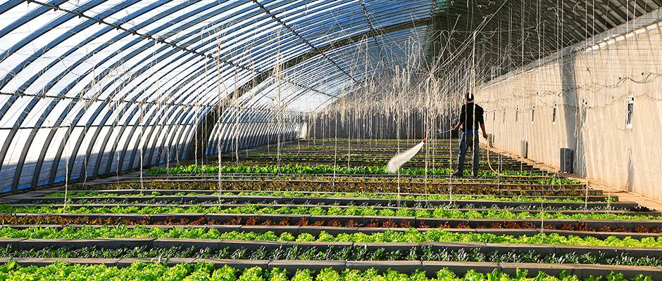 现代化农业设施搭建指南,最新农业设施技术与步骤解析