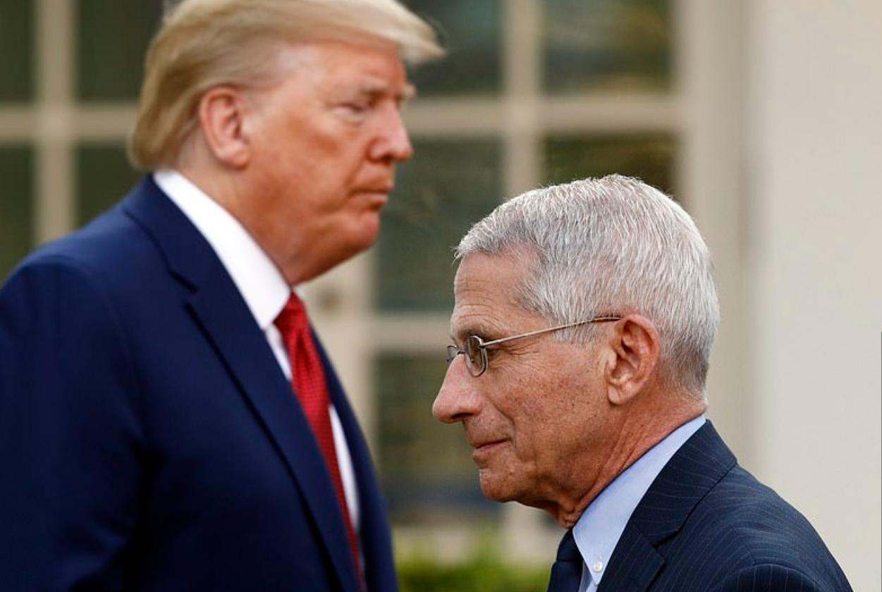 福奇最新，自然美景探险之旅，探寻内心平和与宁静的旅程