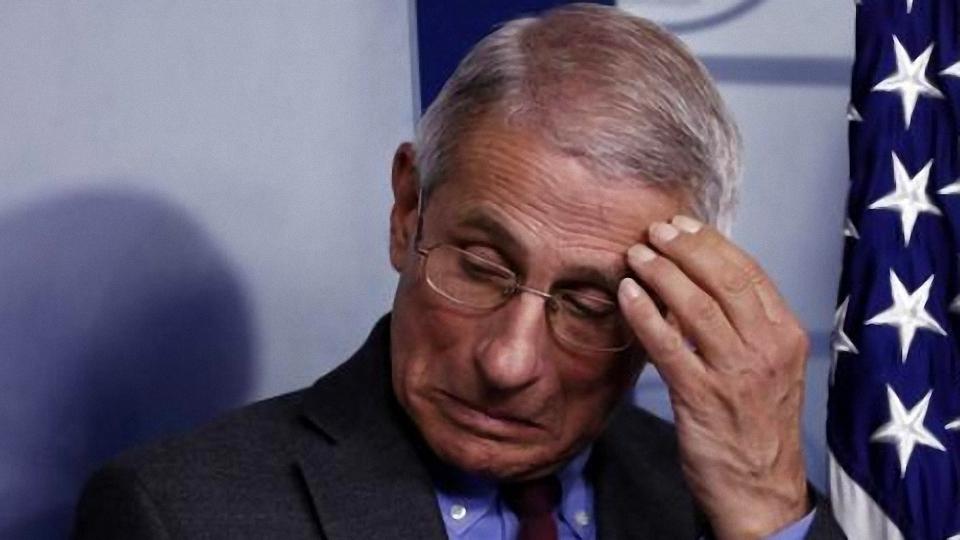 福奇最新,自然美景探险之旅,探寻内心平和与宁静的旅程