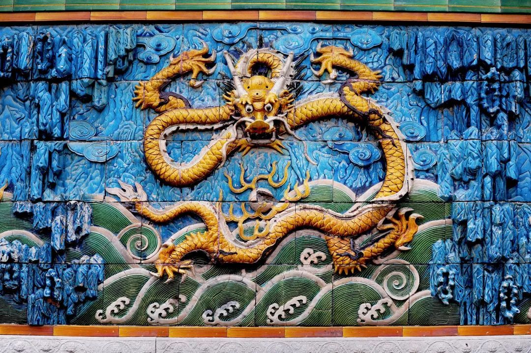 探索龙龙,未知世界的魅力与特色揭秘