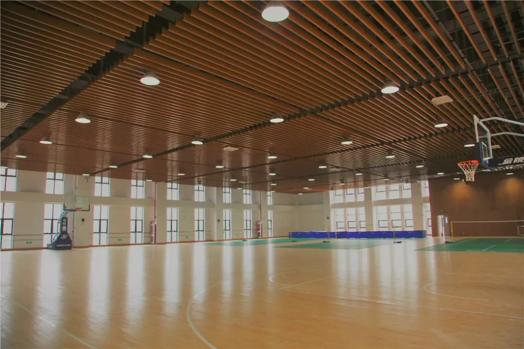 最新篮球馆，友情与欢乐的碰撞地，尽享篮球激情