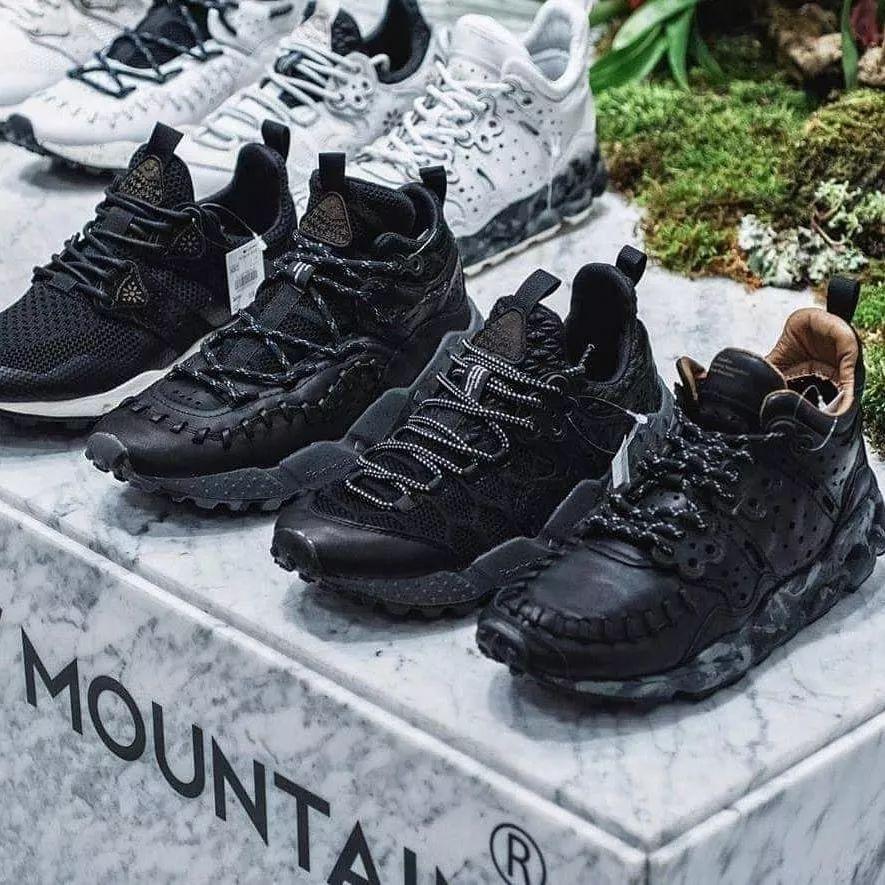 阿乐最新观点阐述与正反分析深度解读