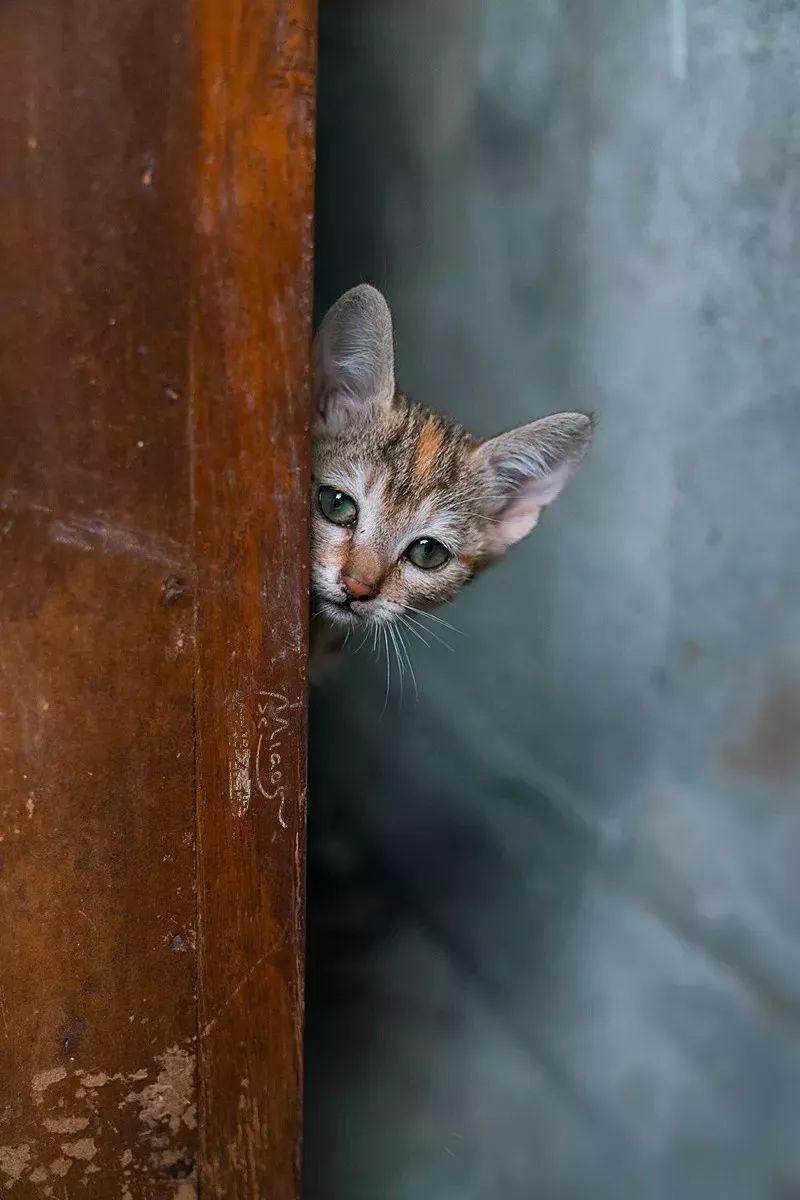 余最新拍摄的温馨日常故事，摄影中的友情与陪伴的温馨瞬间
