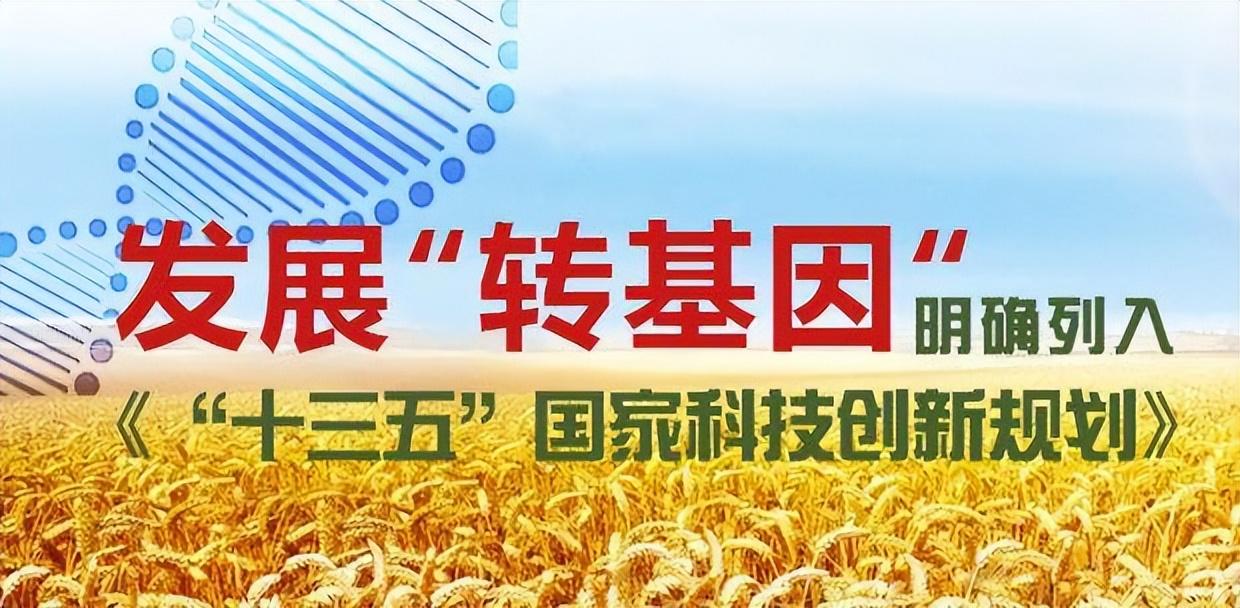 最新相关法引领下的自然美景探索之旅