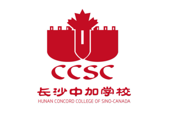 中加最新动态，小巷独特风情与隐藏特色小店探秘