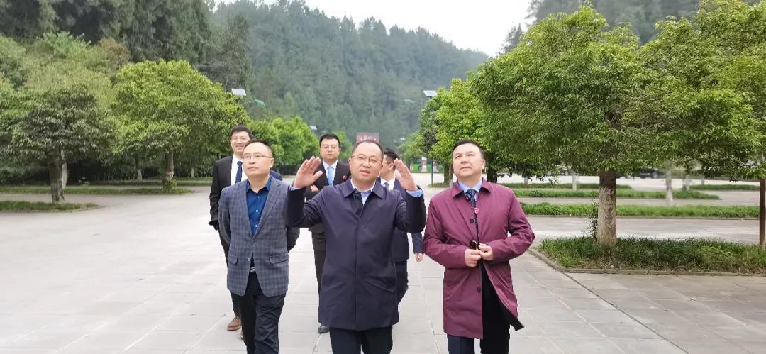 常委最新剪纸,传统艺术的现代创新表现