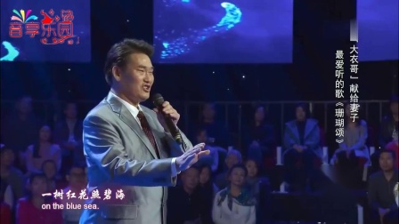 最新珊瑚颂,小巷中的隐秘宝藏探秘