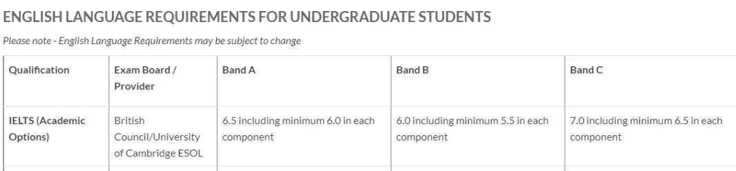 雅思最新动态与巷弄美食,探索味蕾奇遇的特色小店