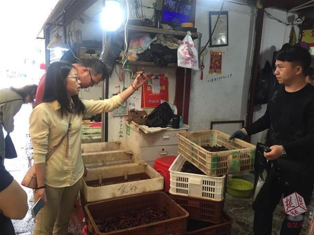 科技革新引领未来，智能虾产品走势及新潮流展望