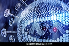 全球病毒防控进展、挑战及最新病毒事件关注焦点