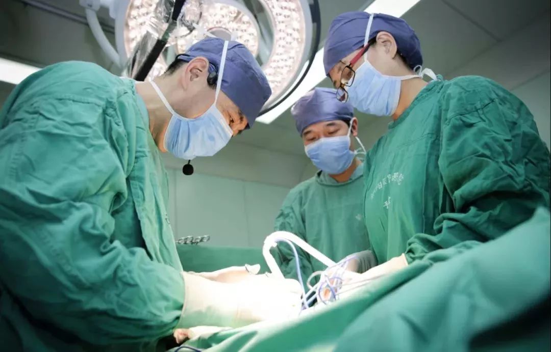 最新疫情死亡病例分析及应对预防详细步骤指南