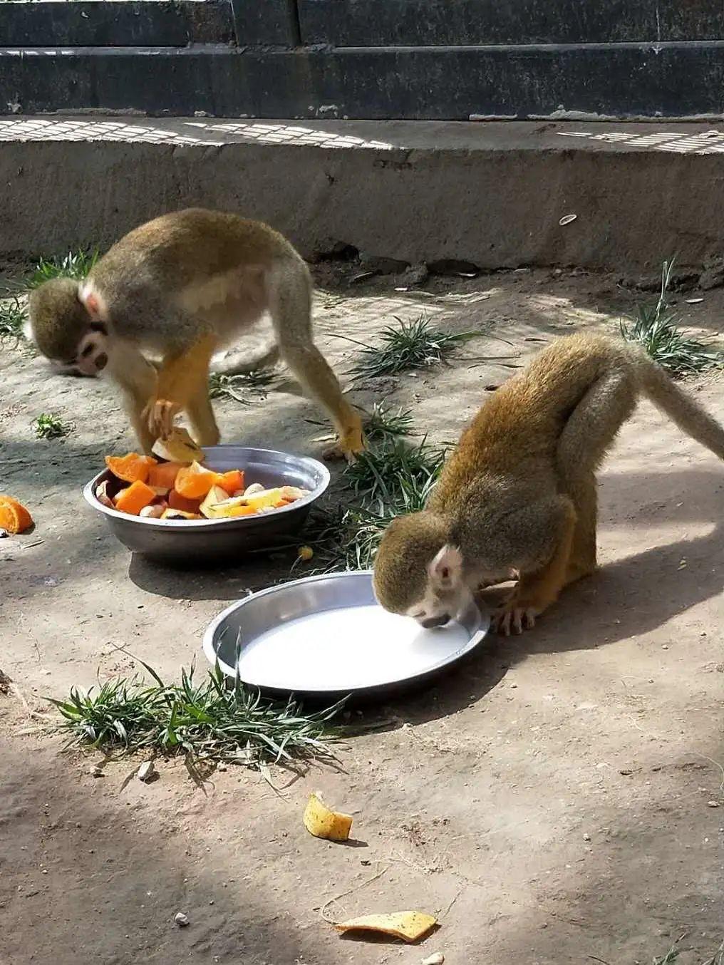 探索云计算服务的最新革新与发展趋势,云服最新动态解析