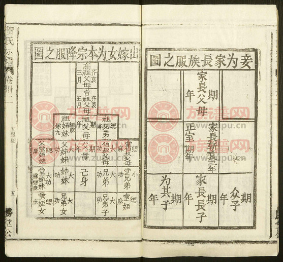 贺氏最新,自然美景探险之旅启程