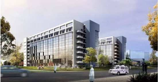 浙医最新，历史背景、重大事件与当代地位的探究